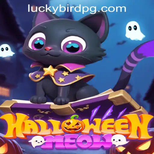 Unveiling HalloweenMeow: The Exciting World of Green betapp Adventures