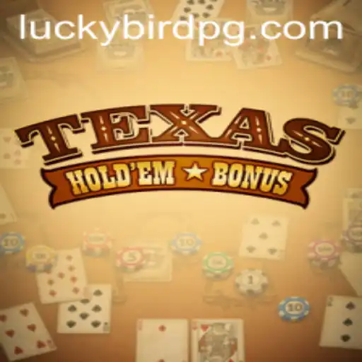 Exploring Texas Hold'em Bonus: A Modern Twist